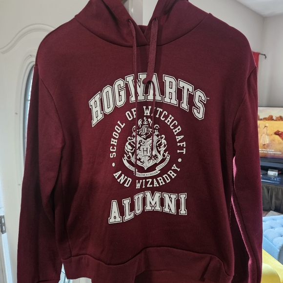 ๐3/$25๐ Burgundy/Harry Potter Graphic Hoodie - Picture 1 of 6